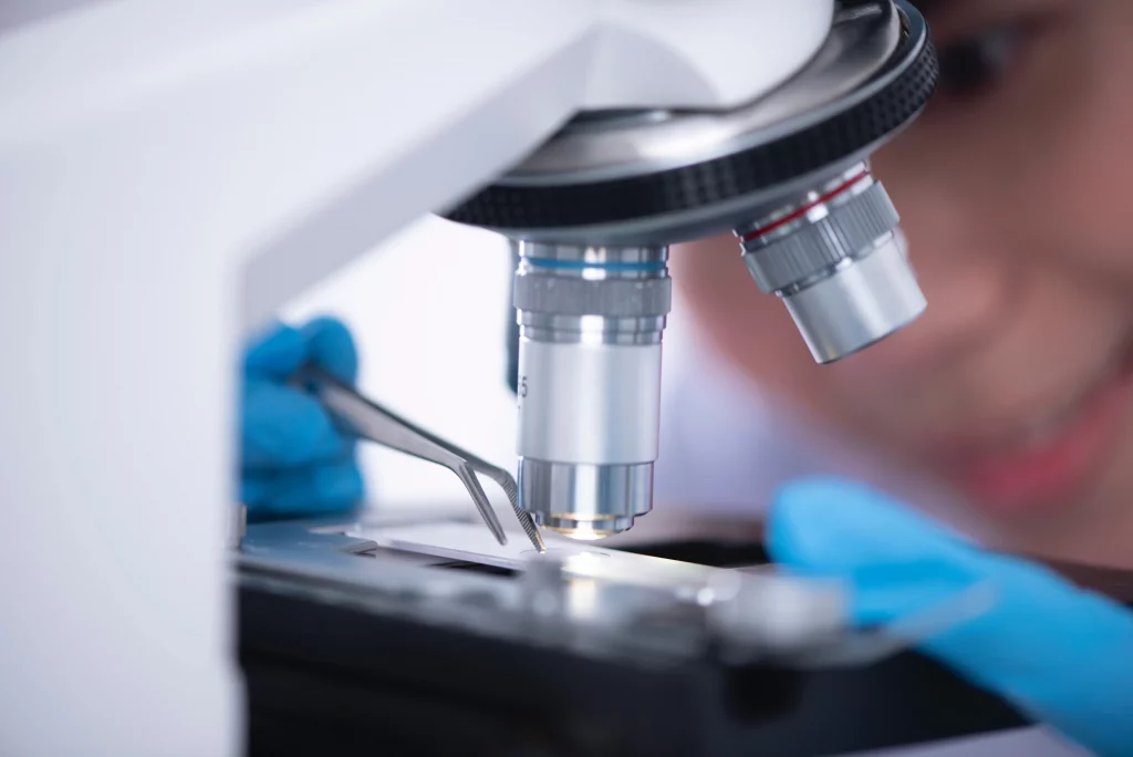 Person looking at lab sample